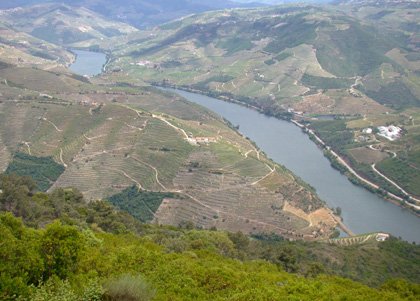 Vale do Douro